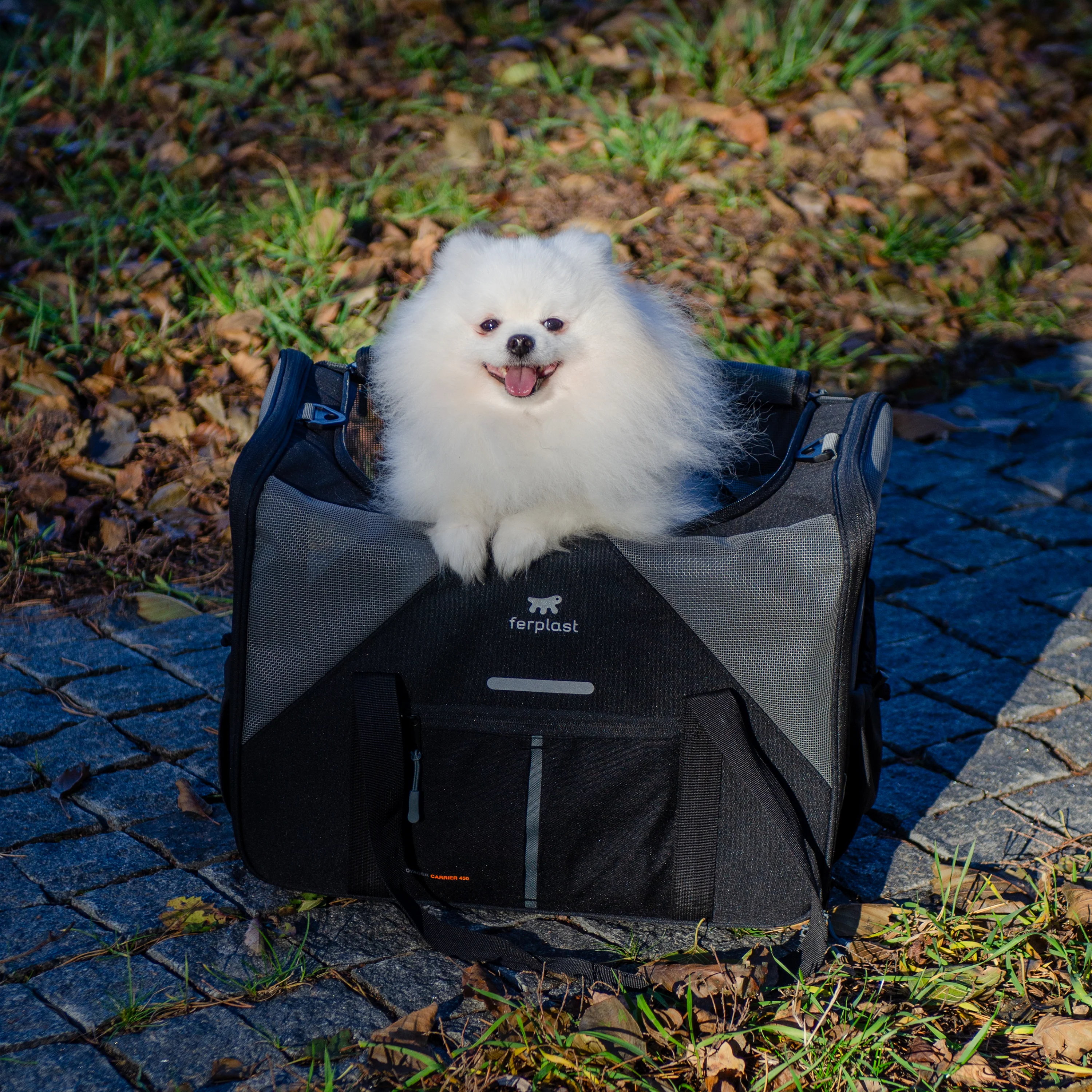 Image du produit 21
